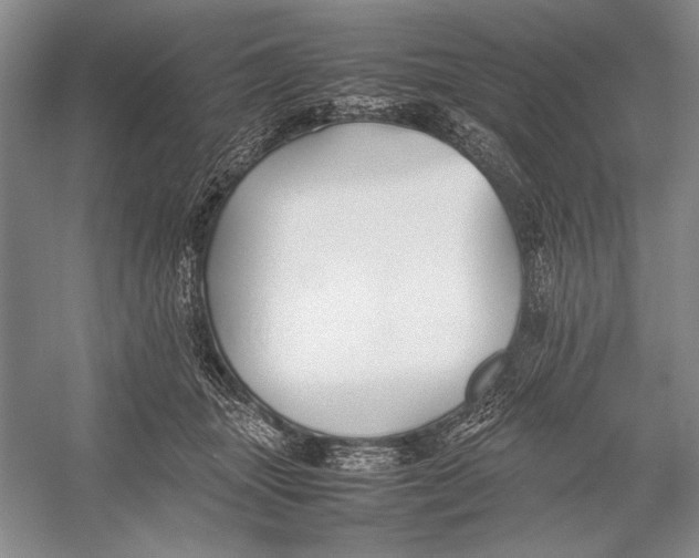 X0000052970463200508051019