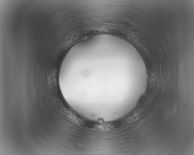 X0000052970466200508051019