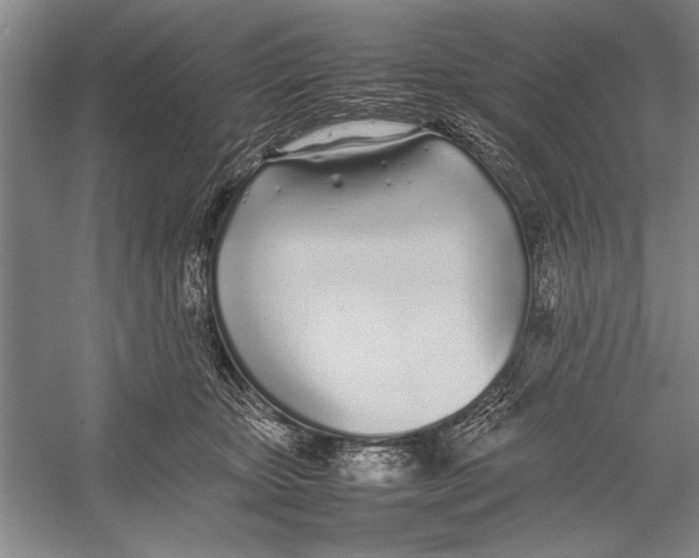 X0000052970467200508051019