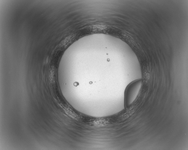 X0000052970468200508051019