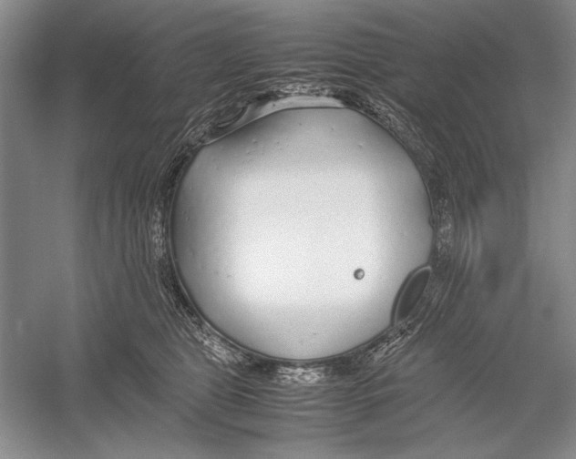 X0000052970469200508051019