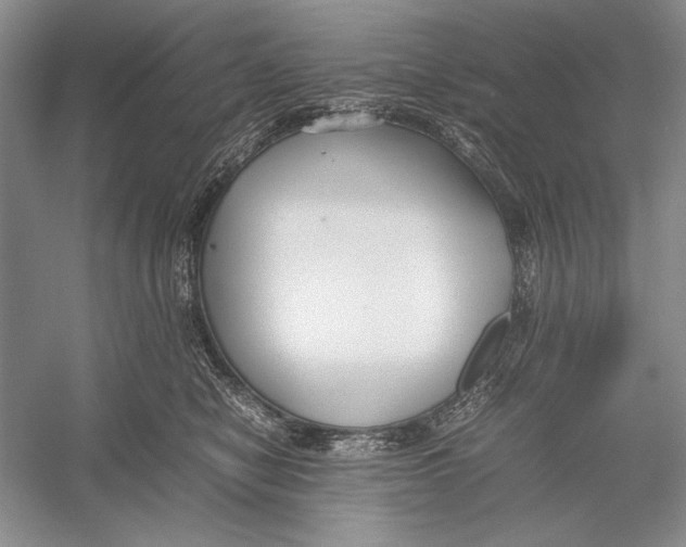 X0000052970470200508051019