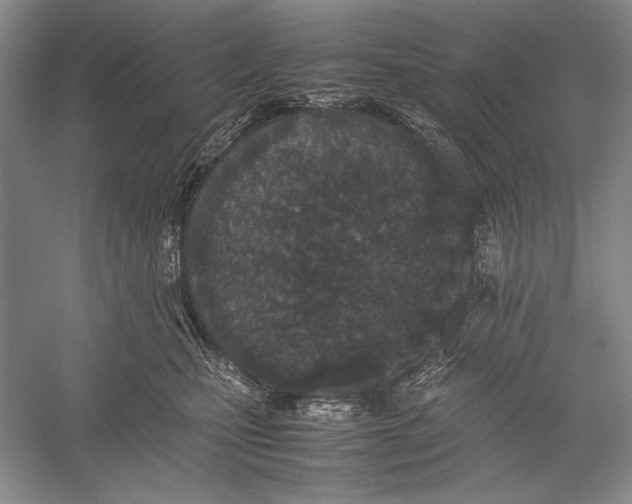 X0000052970471200508051019