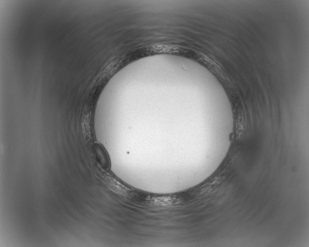 X0000052970473200508051019