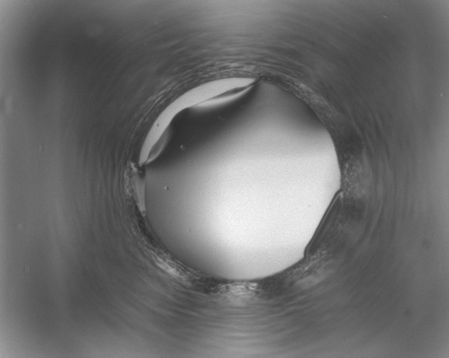 X0000052970474200508051019