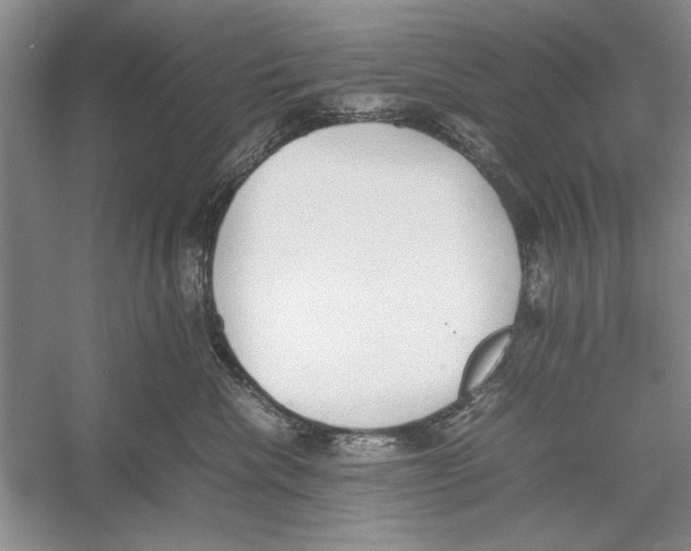 X0000052970476200508051019