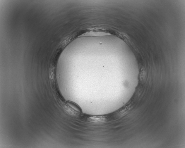 X0000052970477200508051019