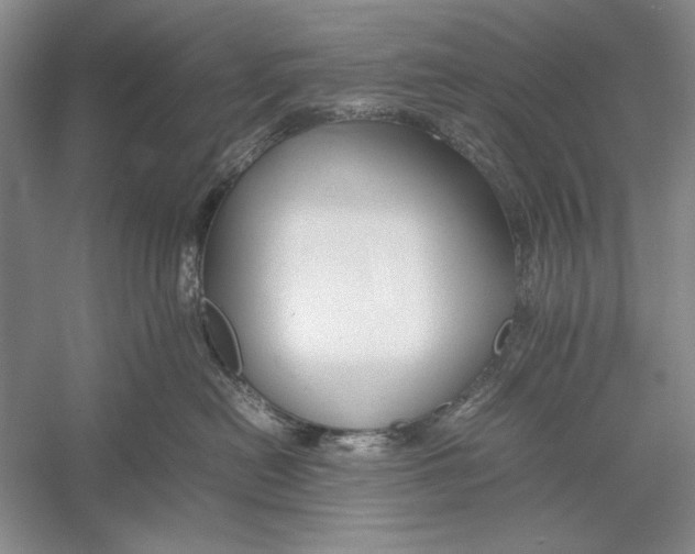 X0000052970478200508051019