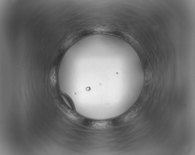 X0000052970479200508051019