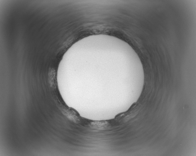 X0000052970480200508051019