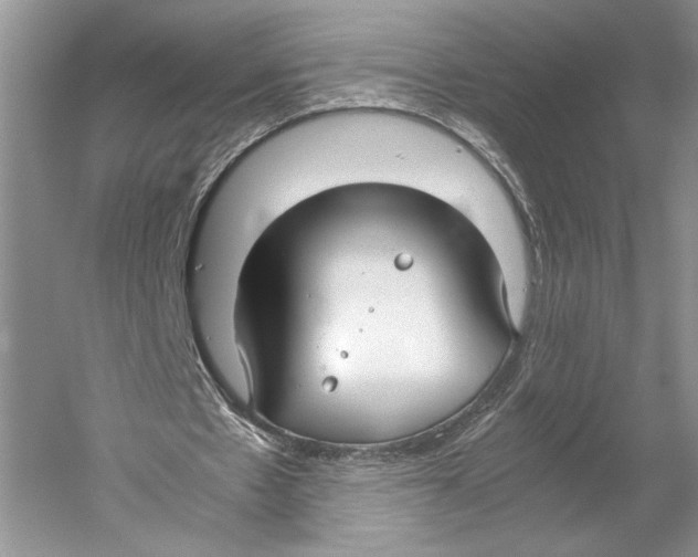 X0000052970481200508051018