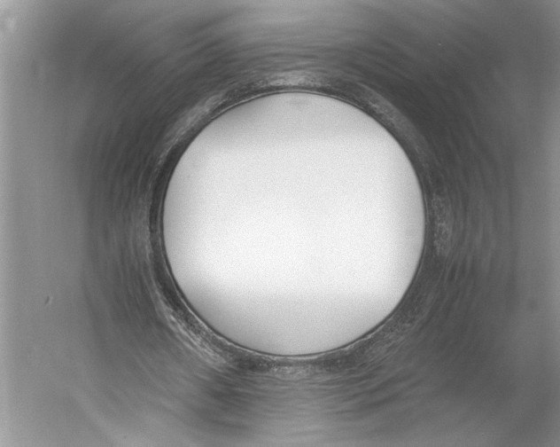 X0000052970482200508051018