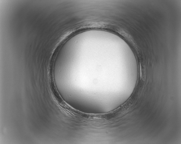 X0000052970483200508051018