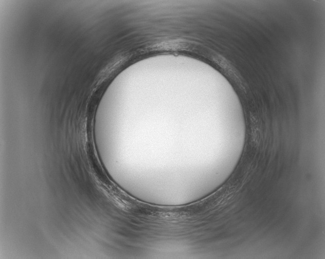 X0000052970486200508051018