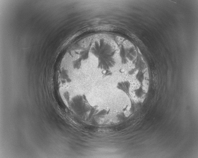 X0000052970487200508051018