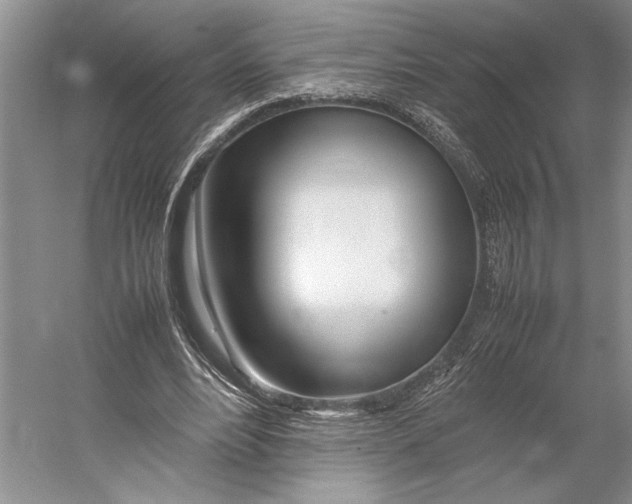 X0000052970488200508051018