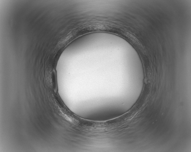 X0000052970489200508051018