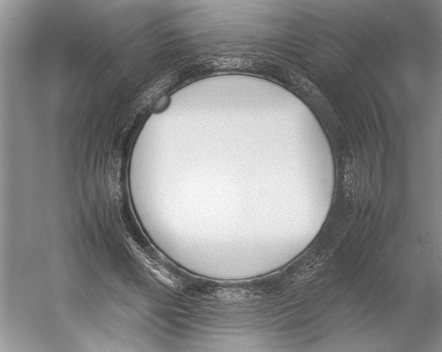 X0000052970490200508051018