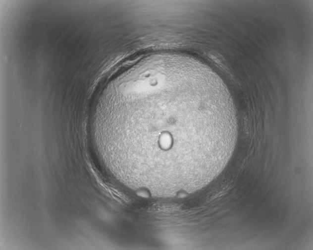 X0000052970491200508051018