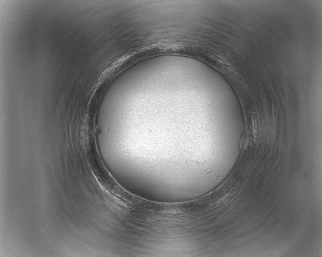 X0000052970492200508051018