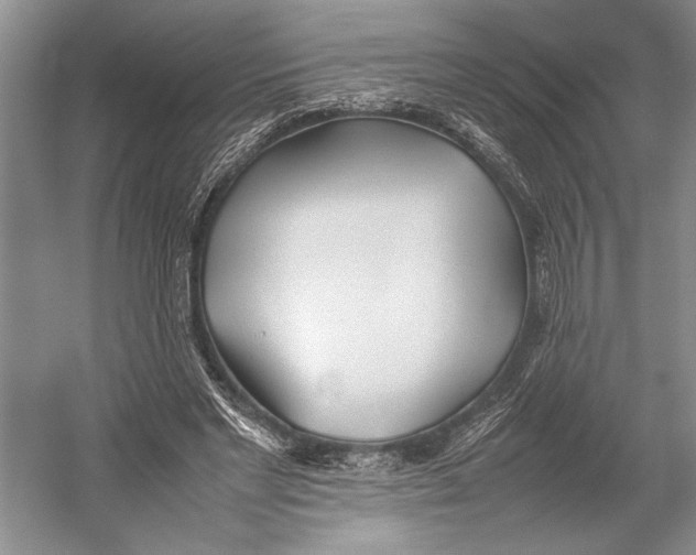 X0000052970493200508051018