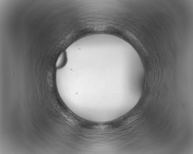 X0000052970497200508051018