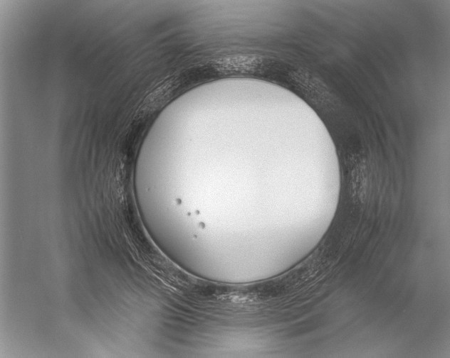 X0000052970498200508051018