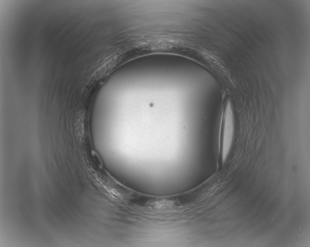 X0000052970501200508051018