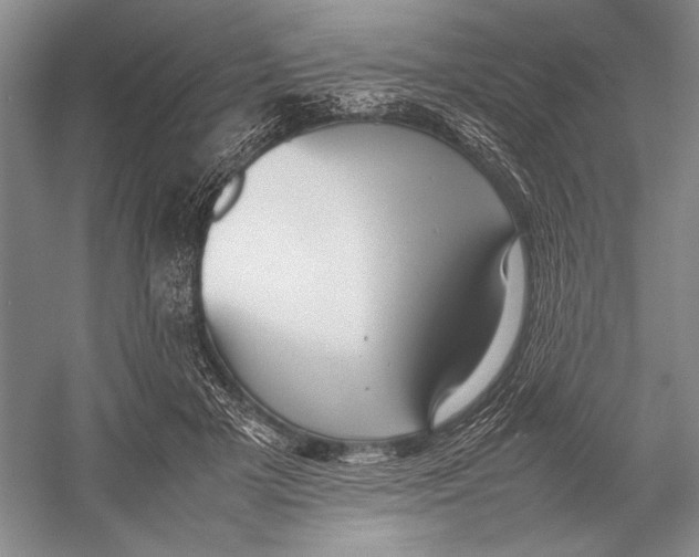 X0000052970505200508051018