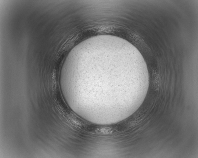 X0000052970506200508051018