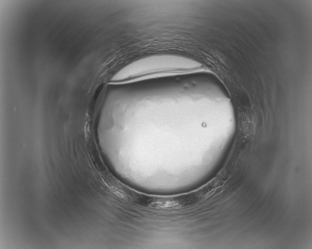 X0000052970507200508051018