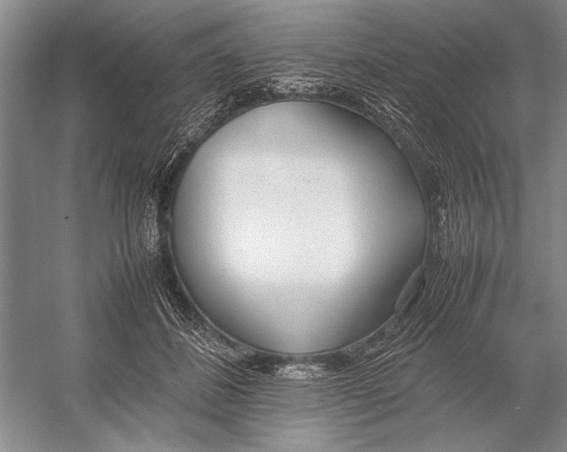 X0000052970508200508051018