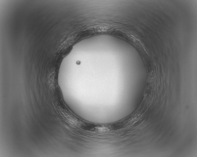 X0000052970509200508051018