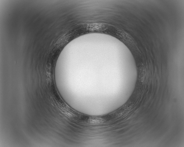 X0000052970510200508051018