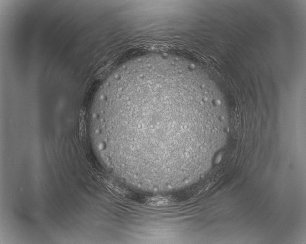 X0000052970511200508051018