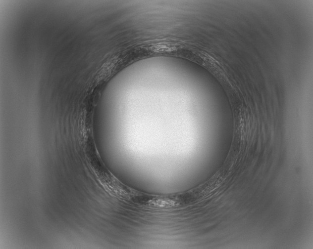 X0000052970512200508051018