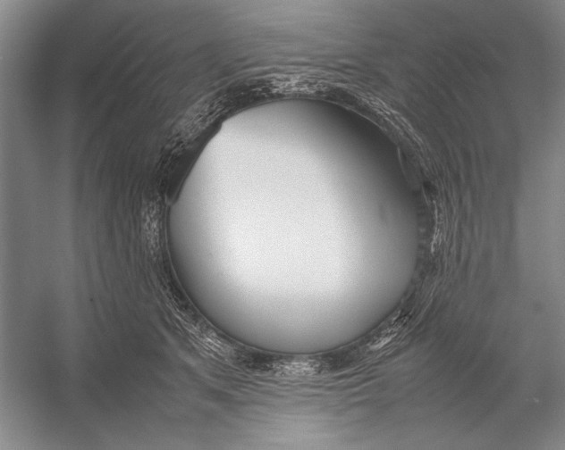 X0000052970513200508051018