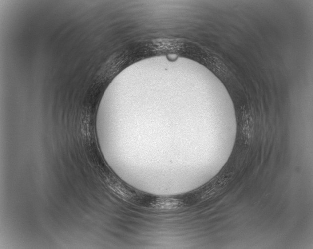 X0000052970514200508051018