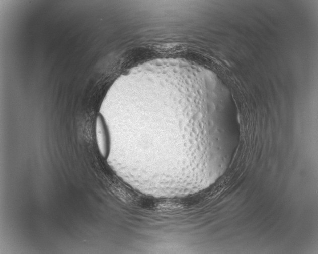 X0000052970515200508051018