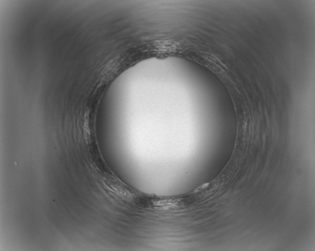 X0000052970516200508051018