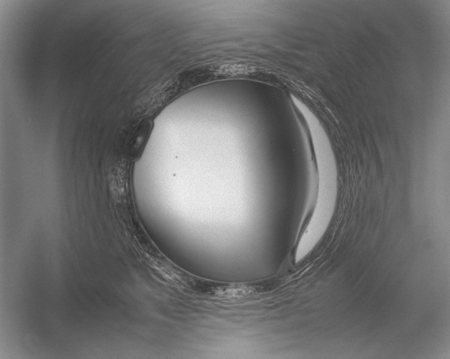 X0000052970517200508051018