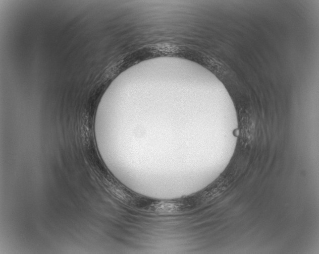 X0000052970518200508051018