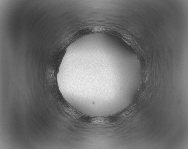 X0000052970521200508051018