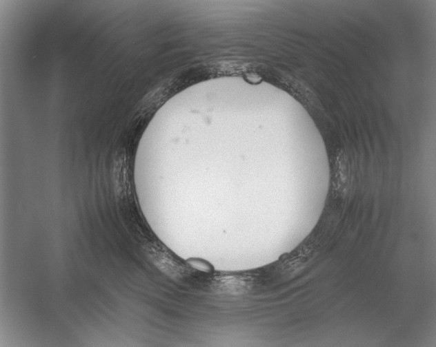 X0000052970522200508051018