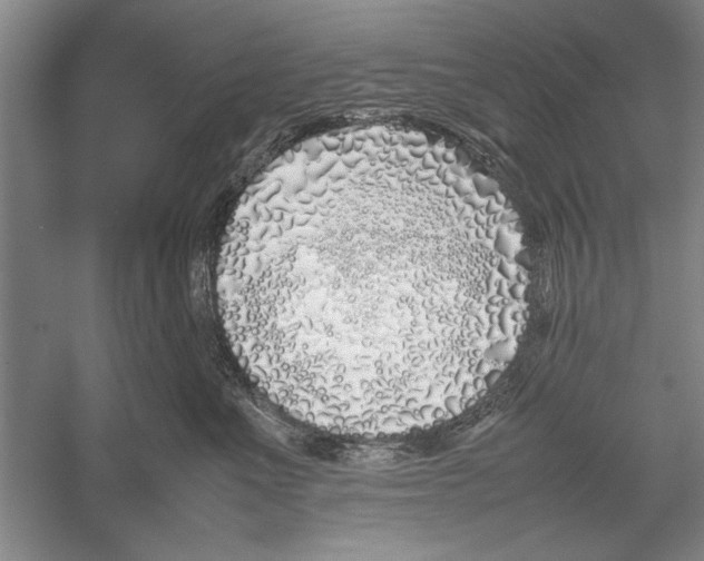 X0000052970523200508051018