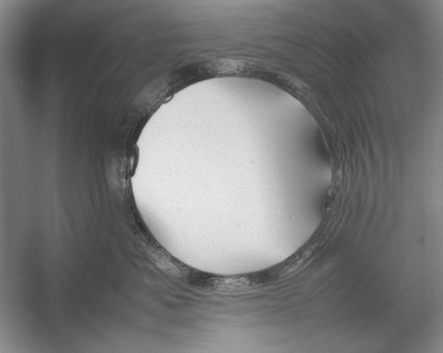 X0000052970525200508051018