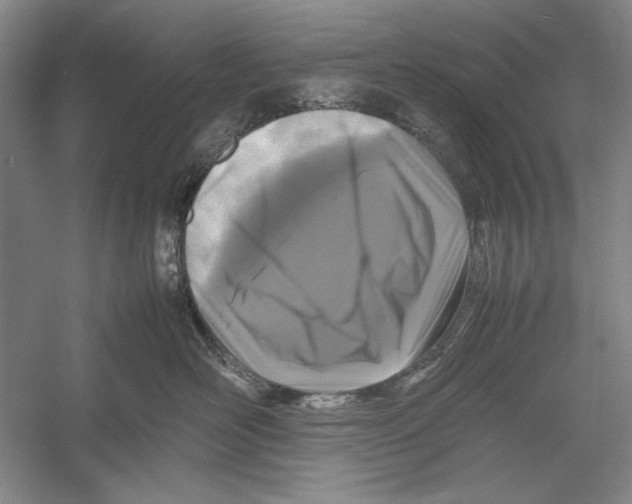 X0000052970526200508051018