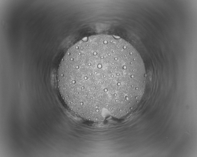 X0000052970527200508051018