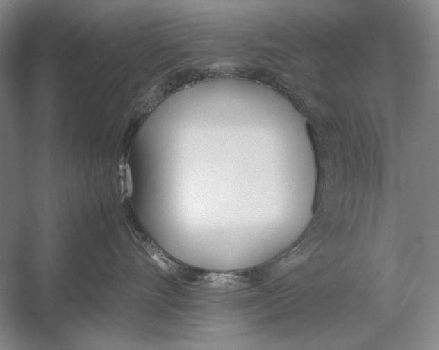 X0000052970528200508051018