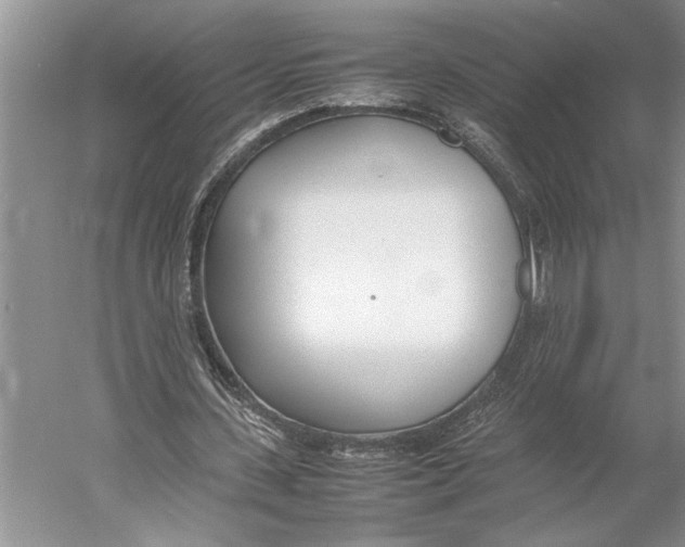 X0000052970531200508051017